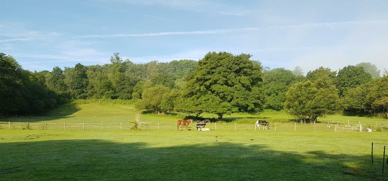 Stable Cottage Dorking Bagian luar foto